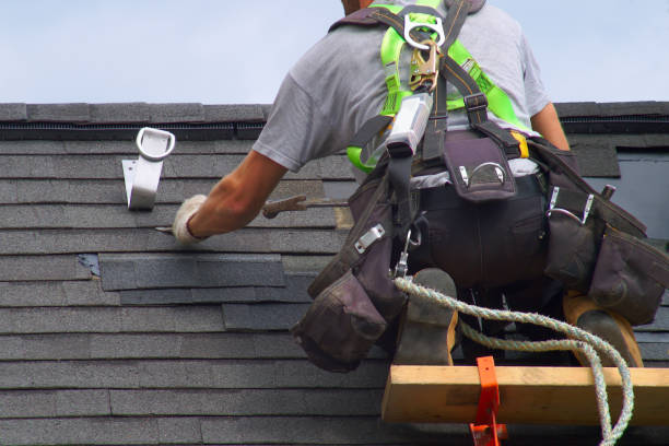 Best Roof Gutter Cleaning  in Vermillion, SD